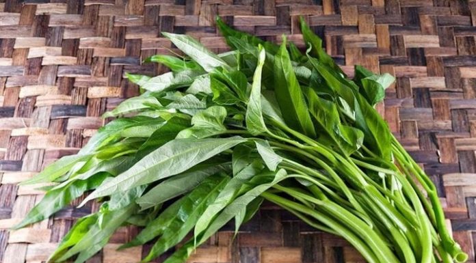 “The Ultimate Guide to Choosing Fresh, Crisp Water Spinach: Avoid Pesticides and Select the Best Bunch”