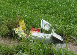 The Ultimate Guide to Avoiding Toxic Veggies: Unveiling the Two Culprits Laden with Chemicals.