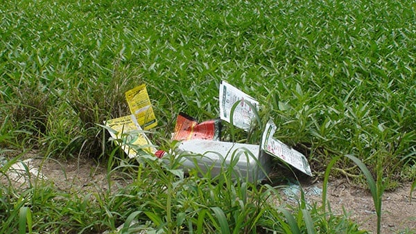 The Ultimate Guide to Avoiding Toxic Veggies: Unveiling the Two Culprits Laden with Chemicals.