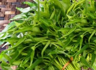 “Transforming the Humble Water Spinach: Beyond Boiling and Stir-Frying, Try It Pickled for a Tasty Treat.”