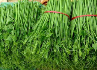 The Ultimate Guide to Pesticide-Ridden Vegetables: Unveiling the Two Most Common Offenders in Your Meals.