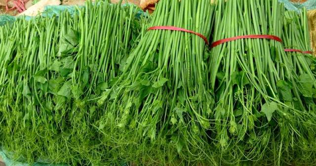 The Ultimate Guide to Pesticide-Ridden Vegetables: Unveiling the Two Most Common Offenders in Your Meals.