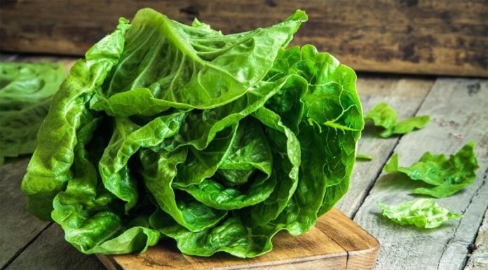 How Many Calories Does Lettuce Have and Why Should You Eat It?