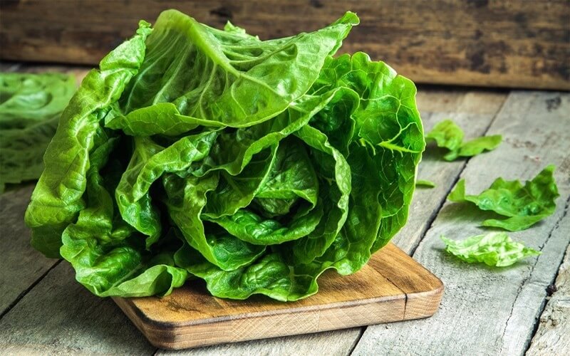 How Many Calories Does Lettuce Have and Why Should You Eat It?