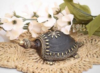 The Power of Feng Shui Turtles: Unlocking Their Benefits, Meanings, and Practical Applications