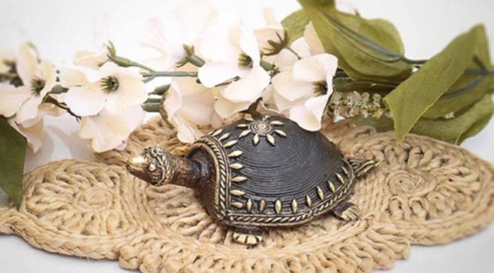 The Power of Feng Shui Turtles: Unlocking Their Benefits, Meanings, and Practical Applications