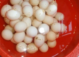 Is Washing Eggs Before Refrigeration Necessary?