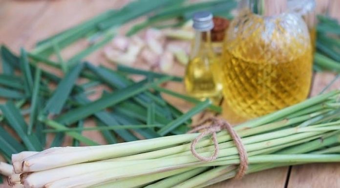 3 Effective Ways to Get Rid of Toilet Odor Without Spending a Dime