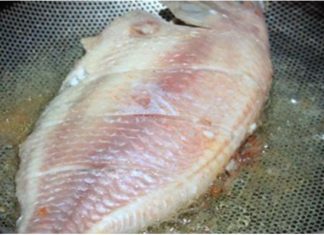 The Fatal Flaws of Fish Preparation