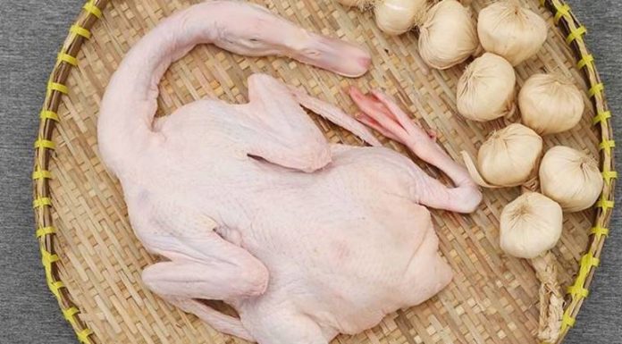 Can Postpartum Women Eat Duck Meat After a C-Section? A Guide to Healthy Eating.