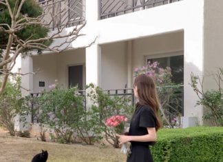 The Ultimate Summer Sandal Guide: 4 Essential Styles to Keep You Cool and Chic