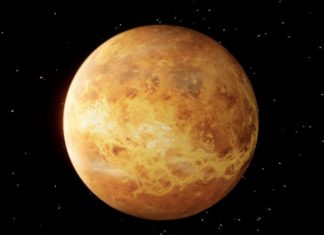 What is Venus Retrograde and How Does it Affect the Zodiac Signs?