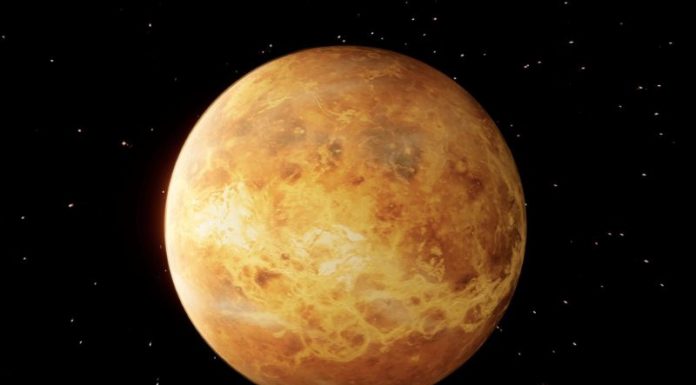 What is Venus Retrograde and How Does it Affect the Zodiac Signs?