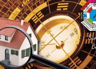 What is the Star of Green and White? How Does it Affect Feng Shui?