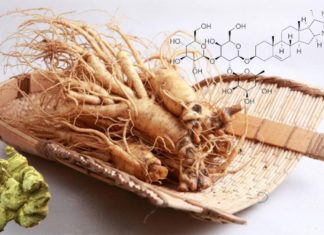 What are Saponins? The Health Benefits Explained.