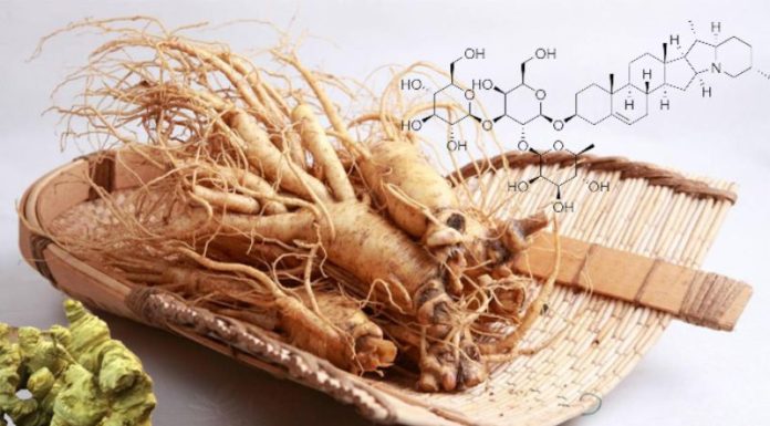 What are Saponins? The Health Benefits Explained.