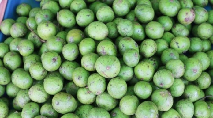 Is it Necessary to Peel Star Fruit Before Freezing?