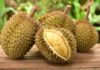 How to Choose the Best Durian: A Guide to Selecting the Sweetest, Most Flavorful Fruit.