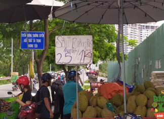 The King of Fruits: A Tale of Pricey Durian and Bitter Realizations