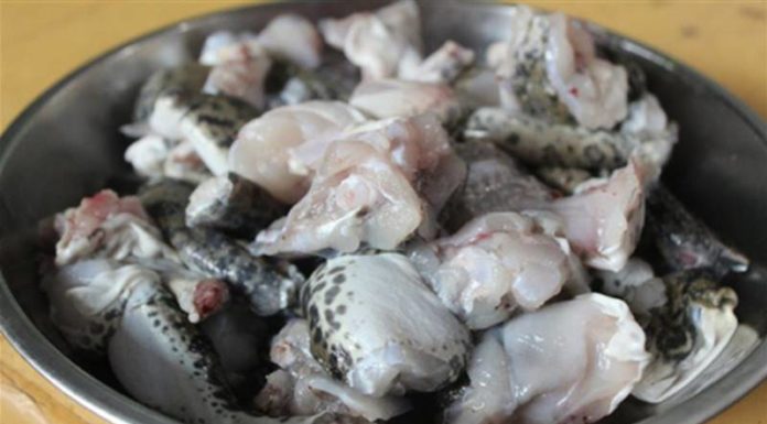 Can Eating Frog Help with Postpartum Recovery? When Can New Moms Eat Frog?