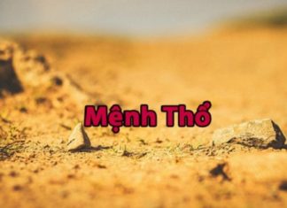 The Power of Earth: Choosing the Right Feng Shui Sim for Your Destiny