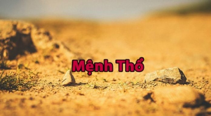 The Power of Earth: Choosing the Right Feng Shui Sim for Your Destiny