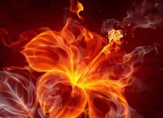The Ultimate Guide to Feng Shui Sims for Fire Signs: Unlocking Harmony and Prosperity