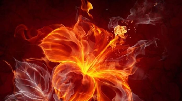 The Ultimate Guide to Feng Shui Sims for Fire Signs: Unlocking Harmony and Prosperity