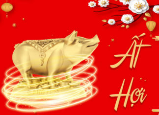 What is the Zodiac Sign for 1995? Tips for Optimal Feng Shui for this Age