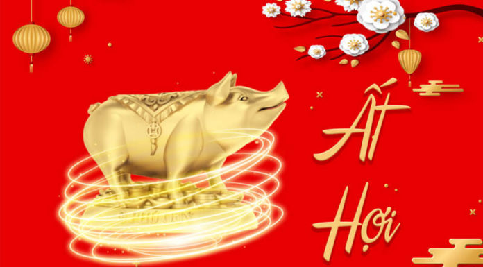 What is the Zodiac Sign for 1995? Tips for Optimal Feng Shui for this Age