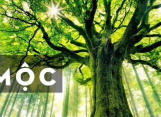 What is the Luck Age of Those Born in 1988? – Unlocking the Secrets of Your Chinese Zodiac Sign