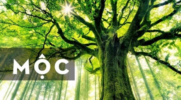 What is the Luck Age of Those Born in 1988? – Unlocking the Secrets of Your Chinese Zodiac Sign