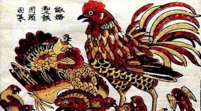 What is the Lucky Element and Color for Those Born in the Year of the Rooster, 1993?