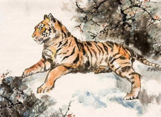 What is the Luck Age, Compatible Partners and Lucky Colors for Those Born in 1986?