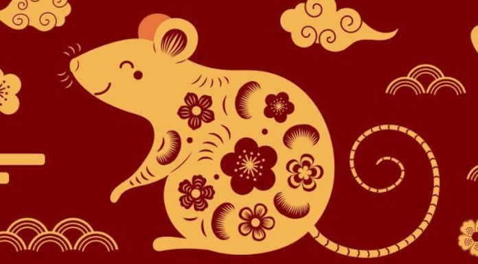 What is the Zodiac Sign for Those Born in the Year of the Fire Rat, 1996? Who and What Colours Are They Compatible With?