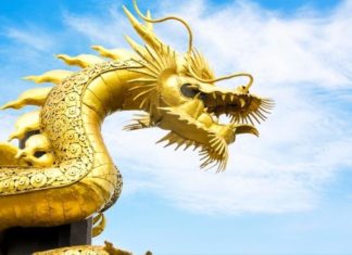 What is Your Chinese Zodiac Animal if You Were Born in the Year 2000?