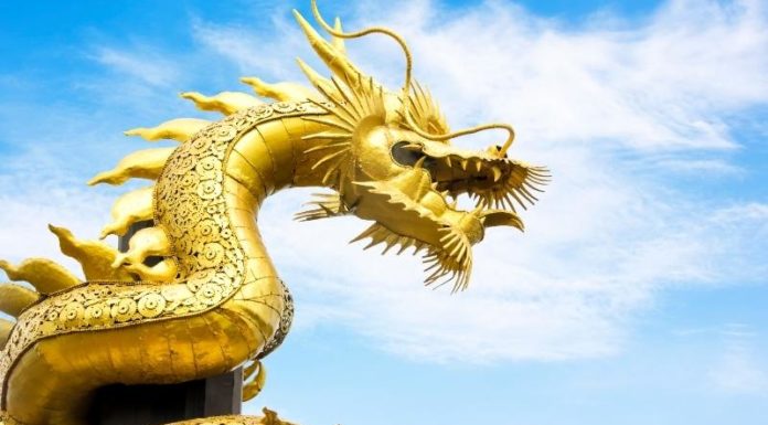 What is Your Chinese Zodiac Animal if You Were Born in the Year 2000?