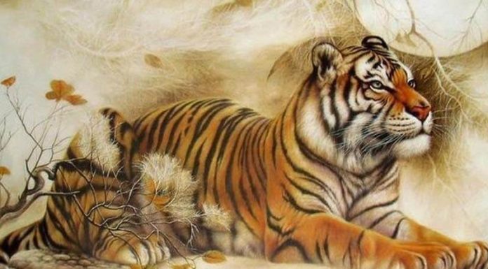 What is the Zodiac Sign for Those Born in 1998 and Which Chinese Zodiac Signs Are They Compatible With?