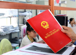 “Unlimited Co-Ownership: Unraveling the Legal Maze of Joint Property Titles”