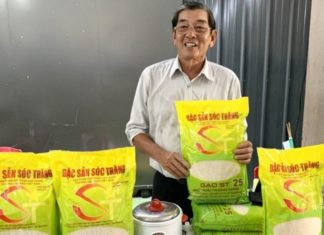 The Ultimate Guide to Choosing Between ST24 and ST25 Rice Varieties: A Comparison for the Discerning Home Cook