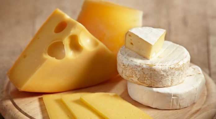 The Ultimate Dairy Duel: Drinkable vs. Edible Cheese – Which is Best for Your Little One?