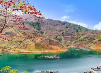 What Are the Specialties of Son La? 16 Delicacies to Try and Buy as Gifts