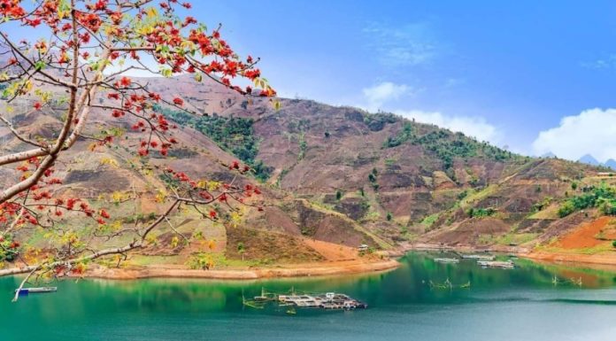 What Are the Specialties of Son La? 16 Delicacies to Try and Buy as Gifts