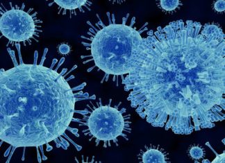 The Power of Persuasion: Mastering the Art of Writing Compelling Copy and Optimizing for Search Engines
How to Write Like a Pro and Get Your Website Noticed