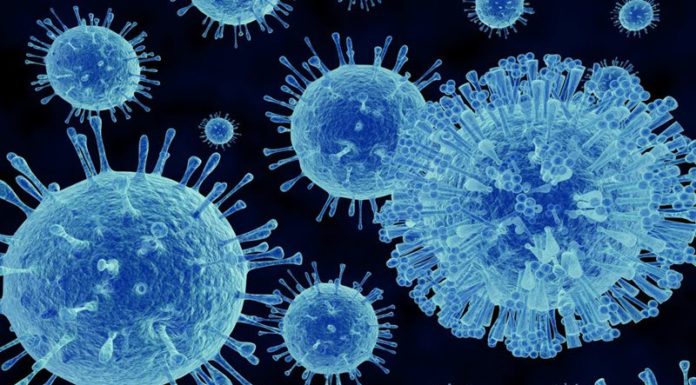 The Power of Persuasion: Mastering the Art of Writing Compelling Copy and Optimizing for Search Engines
How to Write Like a Pro and Get Your Website Noticed