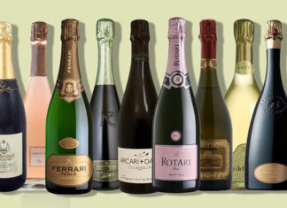 What is Sparkling Wine? An Enchanting Guide to the World of Sparkling Wine.