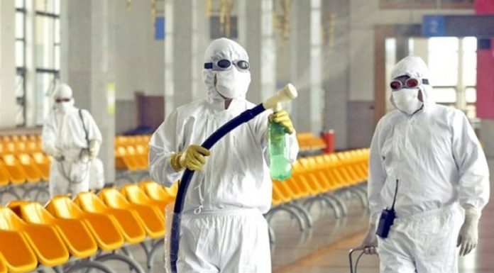 “A Safe Approach to Pest Control: Effective Insecticides that Won’t Harm Your Health”