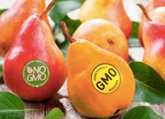 The Difference Between Non-GMO and Organic Foods