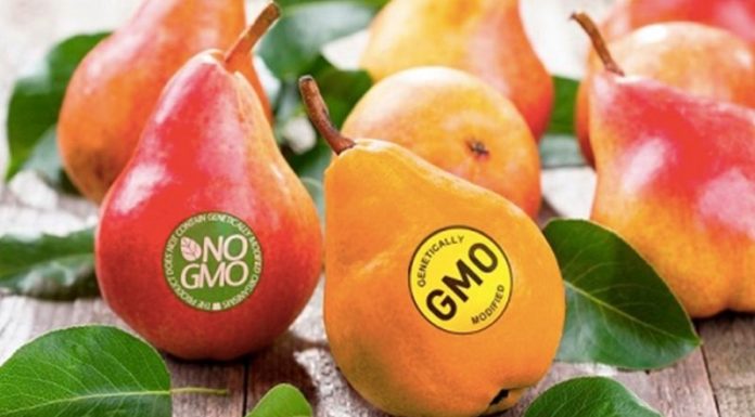 The Difference Between Non-GMO and Organic Foods