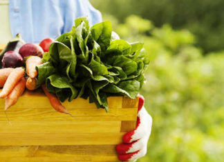 The Difference Between Natural and Organic Foods